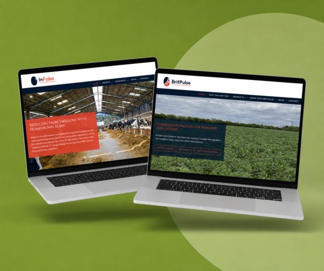 New Digital Presence to Support Growth, Research and Collaboration for BritPulse & Infaba 