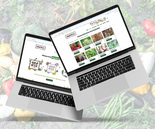 A Fresh Website for Gro Box