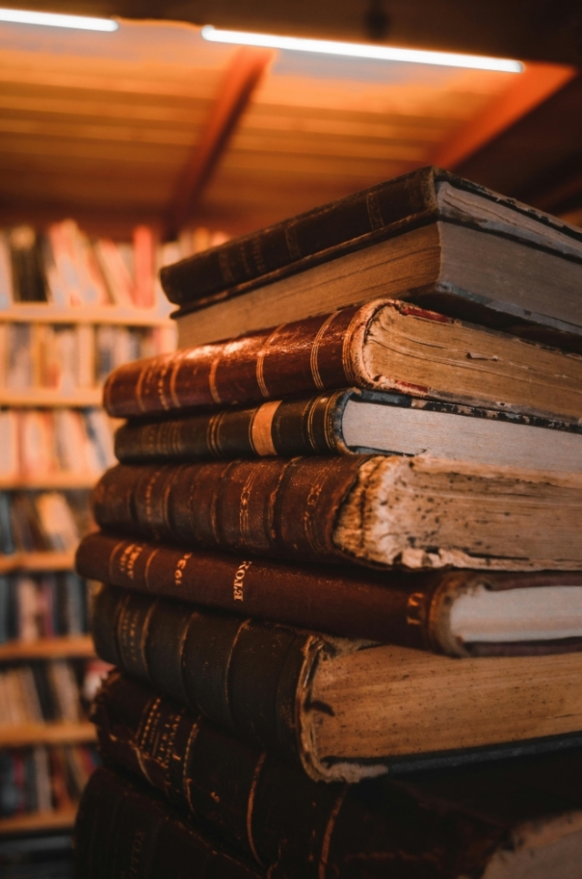 Bringing Brands to Life Through Storytelling: Lessons in Marketing with Soul