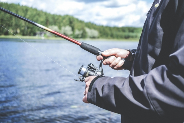 The Pitfalls of Website Audits: Beware the Bait and Switch