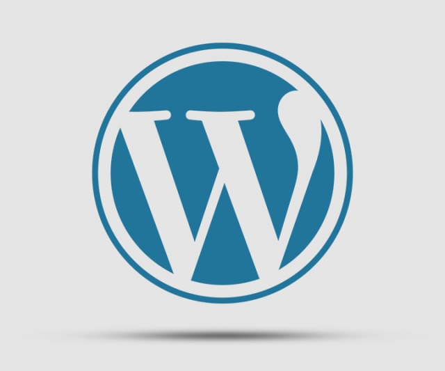 Why you shouldn't use Wordpress for your business website!