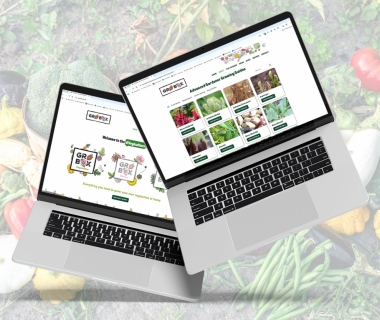 A Fresh Website for Gro Box