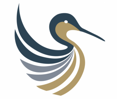 Financial Consultancy Gets Marketing Makeover
